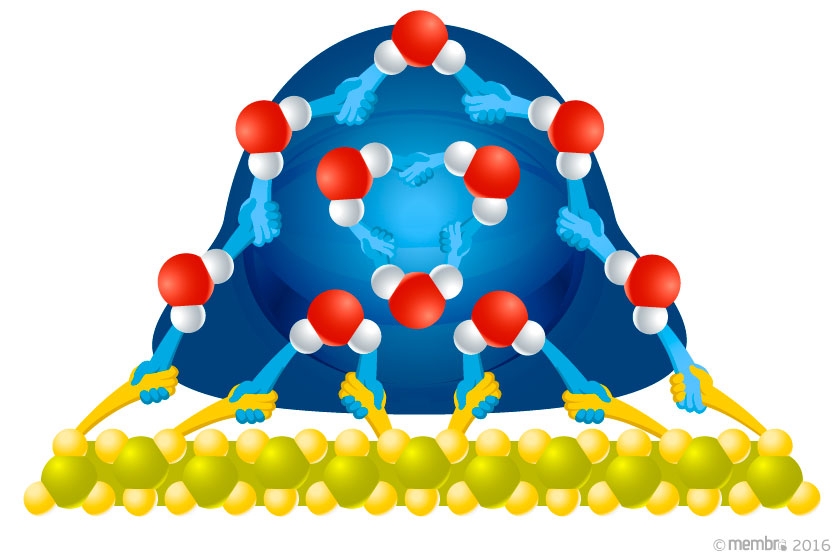 Смачиваемая поверхность Смачиваемая поверхность