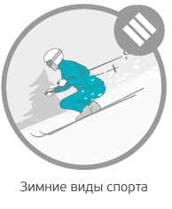 Зимние виды спорта Зимние виды спорта