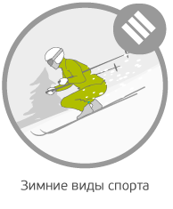 Зимние виды спорта Зимние виды спорта
