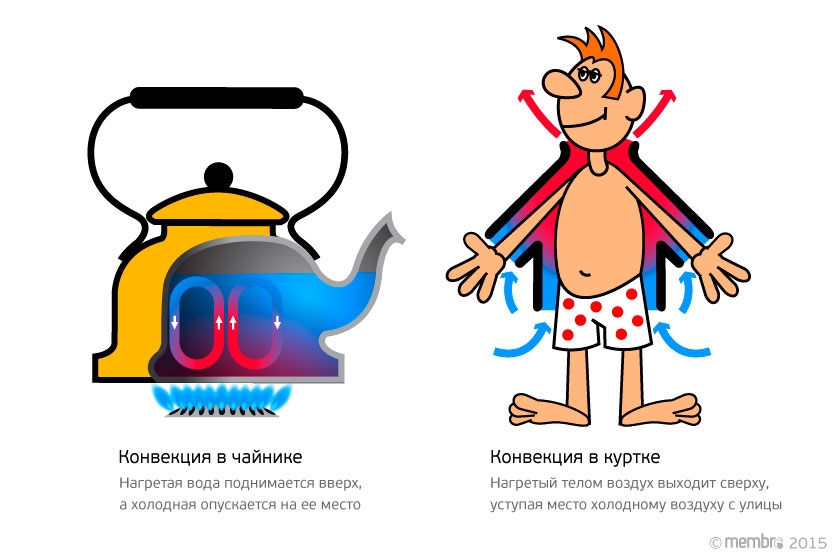 Виды конвекции Виды конвекции