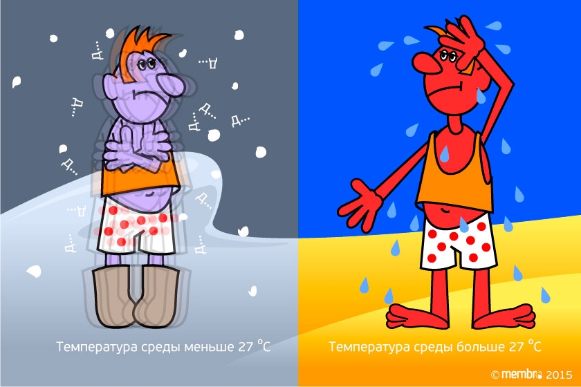 Дрожание и потение Дрожание и потение