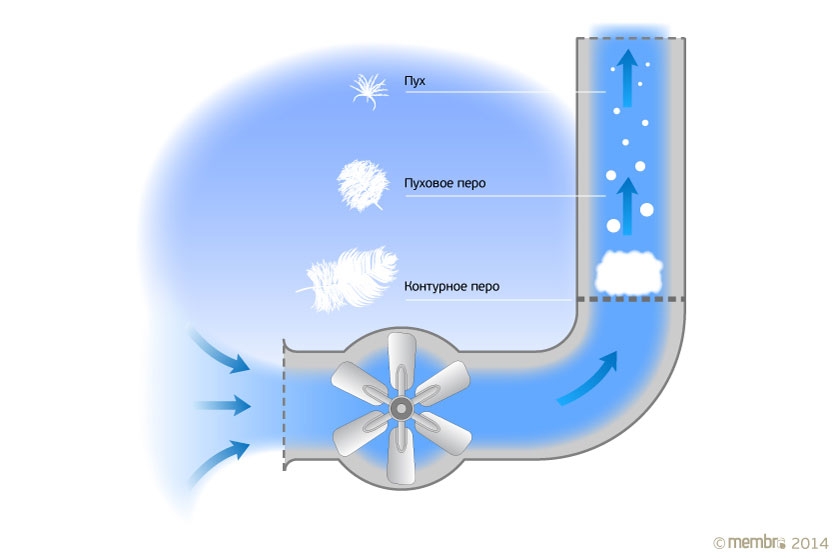Сортировка пуха с помощью восходящего потока воздуха Сортировка пуха с помощью восходящего потока воздуха