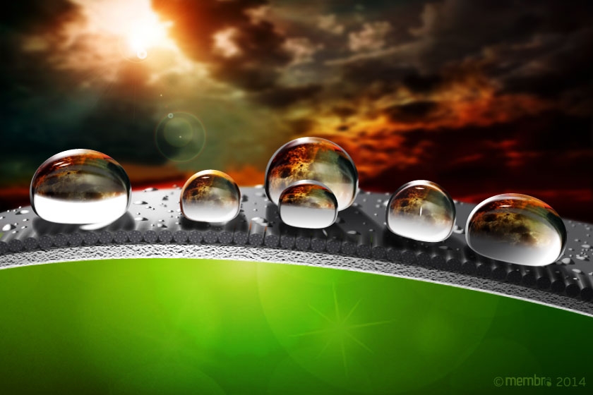 Мембрана Мембрана