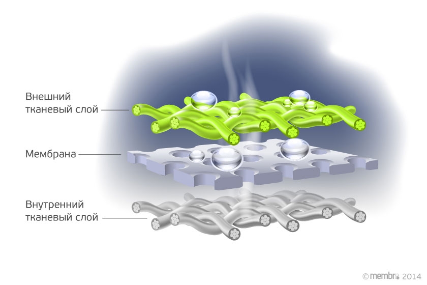 Принципиальная схема мембранного слоя Принципиальная схема мембранного слоя