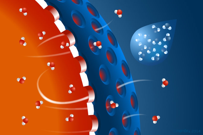 Принцип действия мембраны Принцип действия мембраны