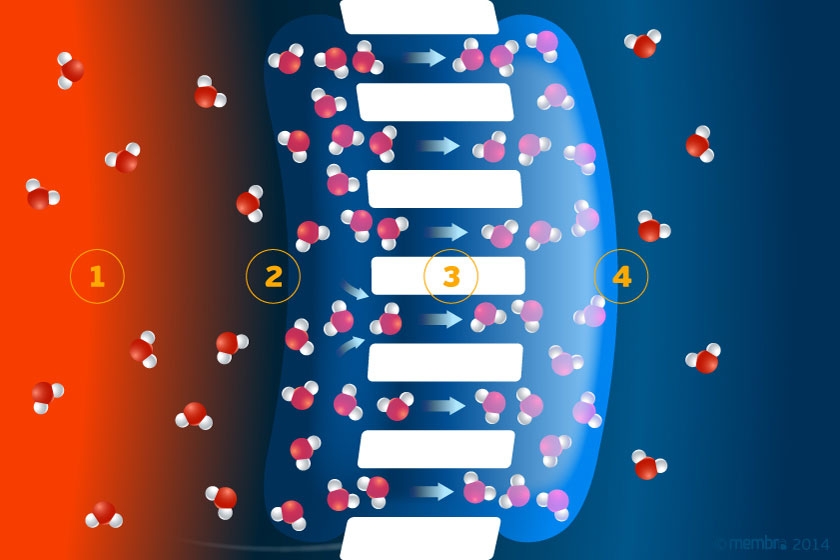 Беспоровая мембрана Беспоровая мембрана