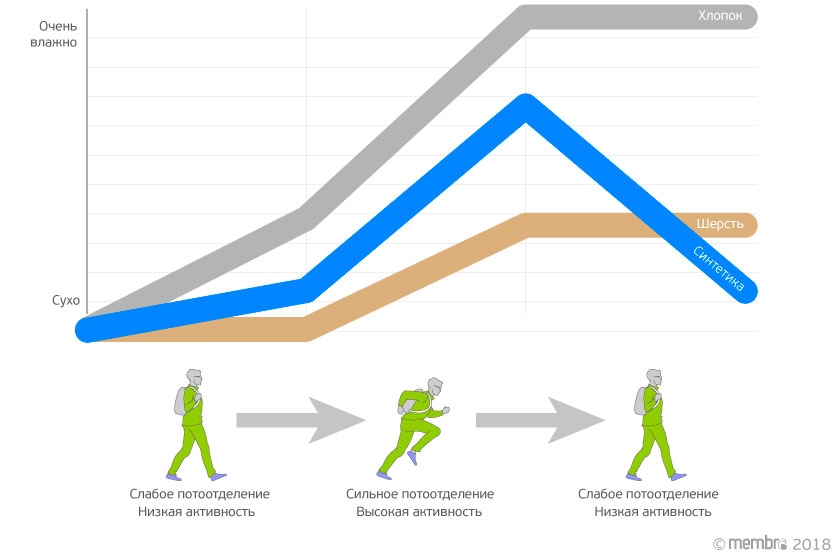 Изменение ощущения влажности в хлопковом, шерстяном и синтетическом белье в условиях переменной физической активности Изменение ощущения влажности в хлопковом, шерстяном и синтетическом белье в условиях переменной физической активности