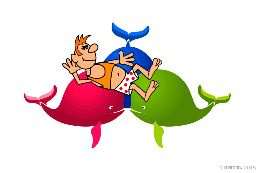 Три кита — три слоя Три кита — три слоя